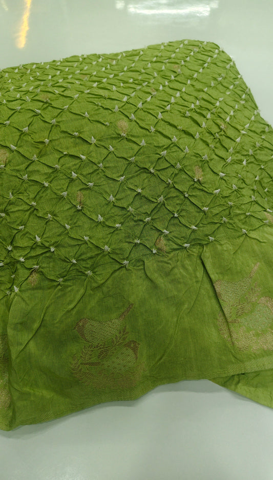 Light Green Pure Bandhani Georgette Saree with Zari Border & Bird Motifs